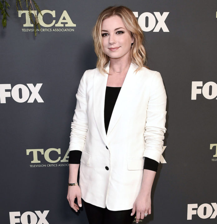 Emily VanCamp at the Fox Winter All-Star Party in 2019.